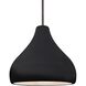 Radiance LED 11.5 inch Gloss Black and Brushed Nickel Pendant Ceiling Light