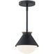 Fusion Collection 1 Light 7.25 inch Matte Black with Brass Ring Outdoor Pendant, Ravelle Family