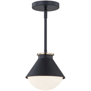 Fusion Collection 1 Light 7.25 inch Matte Black with Brass Ring Outdoor Pendant, Ravelle Family