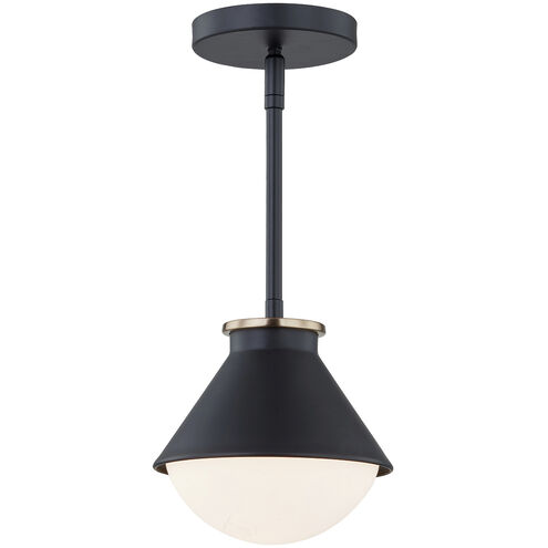 Fusion Collection 1 Light 7.25 inch Matte Black with Brass Ring Outdoor Pendant, Ravelle Family