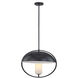 Fusion 1 Light 20 inch Matte Black and Opal Pendant Ceiling Light
