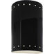 Ambiance Cylinder LED 9.5 inch Gloss Black Outdoor Wall Sconce, Small
