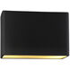 Ambiance Collection LED 6 inch Carbon Matte Black/Champagne Gold Outdoor Wall Sconce