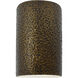 Ambiance Cylinder LED 5.75 inch Hammered Polished Brass Wall Sconce Wall Light, Small