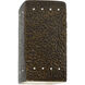 Ambiance LED 5.25 inch Hammered Polished Brass Wall Sconce Wall Light