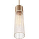 Fusion Collection - Rimini Family 1 Light 2 inch Brushed Brass Pendant Ceiling Light, EVOLV