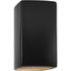 Ambiance Collection LED 13.5 inch Carbon Matte Black/Champagne Gold Outdoor Wall Sconce