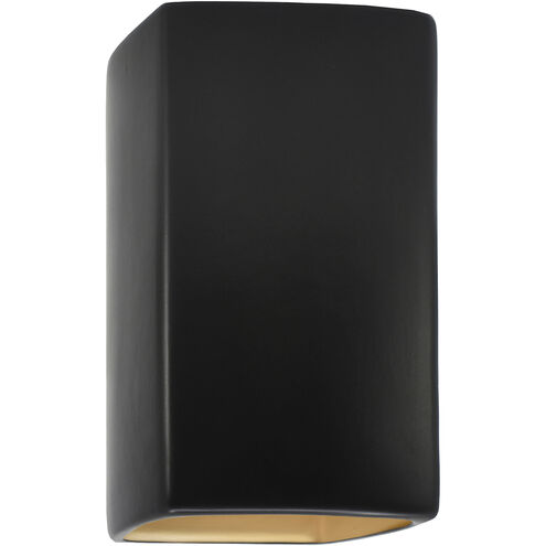 Ambiance Collection LED 13.5 inch Carbon Matte Black/Champagne Gold Outdoor Wall Sconce