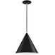 Conos Family 1 Light 14 inch Matte Black with White Interior Pendant Ceiling Light