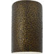 Ambiance Collection LED 12.5 inch Hammered Brass Outdoor Wall Sconce