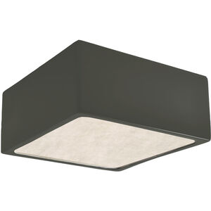 Radiance Collection LED 8.25 inch Reflecting Pool Flush-Mount Ceiling Light