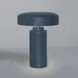 Portable 16.5 inch 60 watt Matte White and Champagne Gold Table Lamp Portable Light