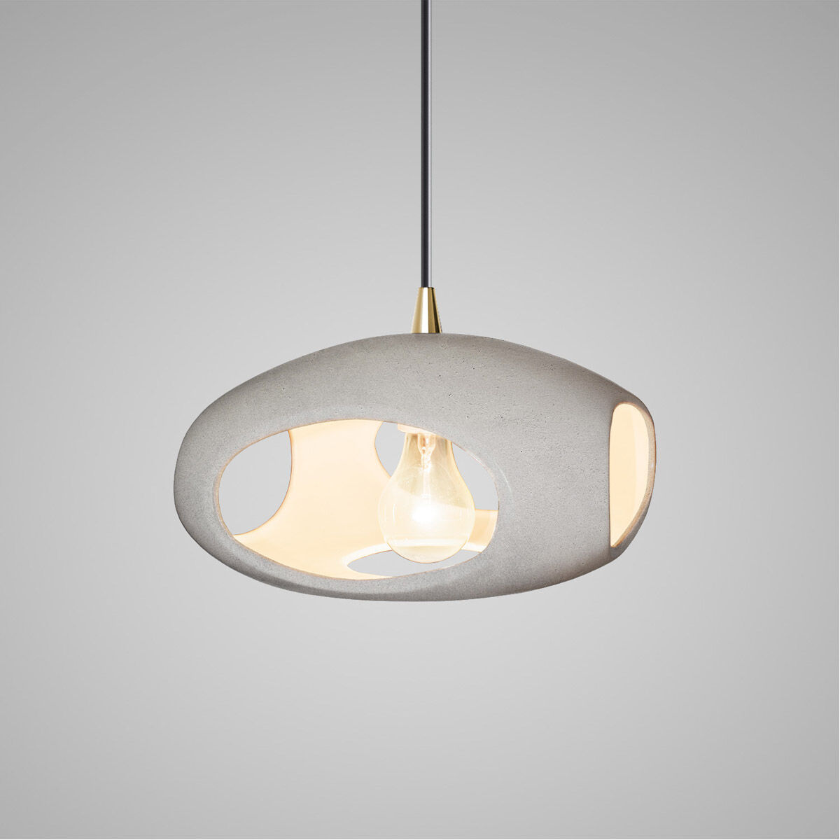 Radiance 1 Light 12 inch Pendant Ceiling Light
