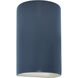 Ambiance Collection LED 12.5 inch Midnight Sky/Matte White Outdoor Wall Sconce