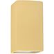 Ambiance Outdoor Wall Sconce