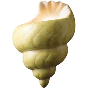 Ambiance Conch Shell LED 10.5 inch Harvest Yellow Slate Wall Sconce Wall Light
