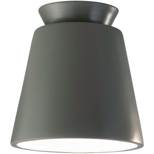 Radiance Collection LED 8 inch Pewter Green Flush-Mount Ceiling Light