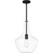 EVOLV 14 inch Matte Black Pendant Ceiling Light, Harlow Family