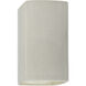 Ambiance 1 Light 9.5 inch White Crackle Outdoor Wall Sconce, Small