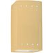 Ambiance Outdoor Wall Sconce