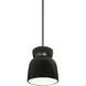 Radiance Collection 1 Light 8 inch Carbon Matte Black with Brushed Nickel Pendant Ceiling Light