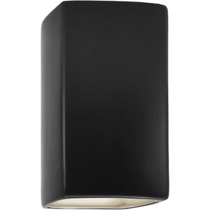 Ambiance 1 Light 13.5 inch Carbon Matte Black Outdoor Wall Sconce, Large