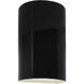 Ambiance Collection LED 12.5 inch Gloss Black Outdoor Wall Sconce