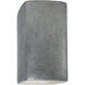 Ambiance Wall Sconce Wall Light in Antique Silver, Incandescent, Large