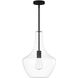 EVOLV 14 inch Matte Black Pendant Ceiling Light, Harlow Family