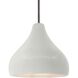 Radiance 1 Light 11.5 inch Matte White and Brushed Nickel Pendant Ceiling Light