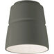 Radiance Collection 1 Light 7.5 inch Pewter Green Flush-Mount Ceiling Light