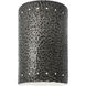 Ambiance Wall Sconce Wall Light in Hammered Pewter, Incandescent, Small