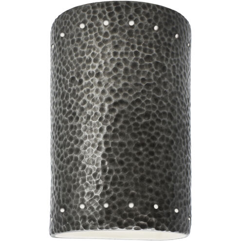 Ambiance Wall Sconce Wall Light in Hammered Pewter, Incandescent, Small