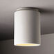 Radiance Cylinder LED 6.5 inch Bisque Flush-Mount Ceiling Light