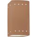 Ambiance Outdoor Wall Sconce