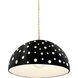 Perforated Dome Pendant Ceiling Light in Replaceable Bulb, Carbon Matte Black, Form+Finish+Function
