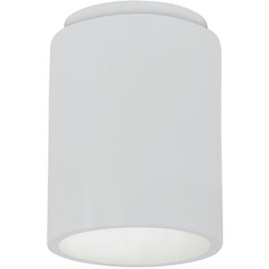 Radiance 1 Light 6.5 inch Gloss White Outdoor Flush-Mount in Incandescent