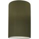 Ambiance Outdoor Wall Sconce