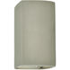 Ambiance 1 Light 9.5 inch Celadon Green Crackle Outdoor Wall Sconce, Small