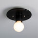 Radiance Collection 1 Light 8 inch Carbon Matte Black Flush Mount Ceiling Light
