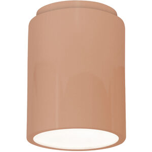 Radiance LED 6.5 inch Gloss Blush Outdoor Flush Mount in 1000 Lm LED