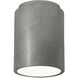 Radiance Cylinder LED 6.5 inch Antique Silver Flush-Mount Ceiling Light