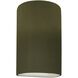 Ambiance LED 5.75 inch Matte Green Wall Sconce Wall Light