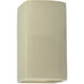 Ambiance 1 Light 9.5 inch Vanilla Gloss Outdoor Wall Sconce, Small