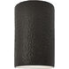 Ambiance LED 6 inch Hammered Iron Wall Sconce Wall Light