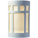 Ambiance Cylinder LED 9.25 inch Bisque Outdoor Wall Sconce, Small