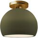 Radiance LED 7 inch Matte Green and Brushed Brass Semi Flush Ceiling Light