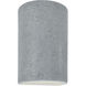 Ambiance 1 Light 5.75 inch Concrete Wall Sconce Wall Light in Incandescent