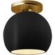 Radiance 1 Light 10 inch Carbon Matte Black and Brushed Brass Semi Flush Ceiling Light