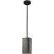 Radiance Collection LED 5.5 inch Hammered Brass with Brushed Nickel Pendant Ceiling Light